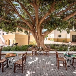 Mitsis Rodos Maris Resort & Spa 7