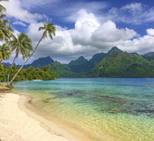 moorea1