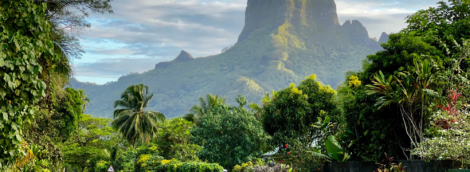 moorea2