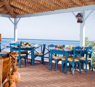 Movenpick Resort El Gouna 9