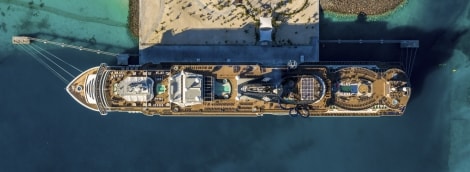 MSC20003143