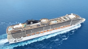 MSC13015739
