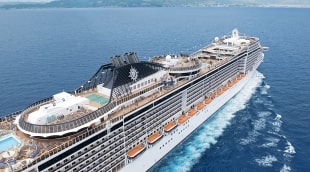 MSC13015561
