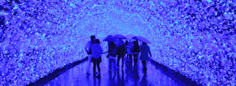 nagoya Nabana no Sato