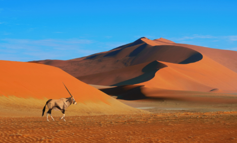 namib