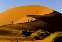 namibo nauklufto nacionalinis parkas 13521