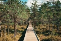 Lahemos parkas Estija