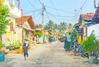 negombo zveju kaimelis 10707