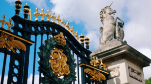 bekingemo rumu vartai