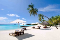 nhatrang papludimys