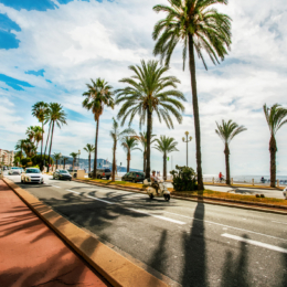 iStock 1833505151