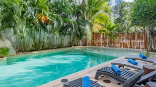 niik tulum 2