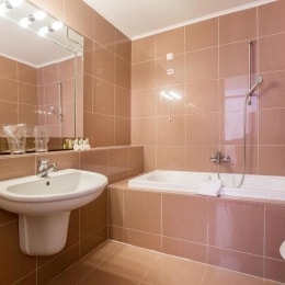 Hotel Niko vonios kambarys