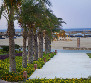 novotel marsa alam aplinka