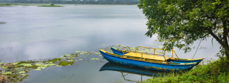 hiriwadunna ežeras