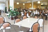 oasis6