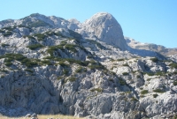 1obla