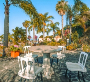 Ocean Gardens 1