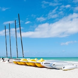 ocean varadero el patriarca papludimys 9870