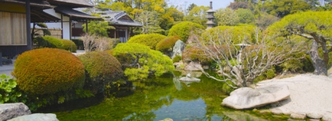 Korakuen Garden in Okayama