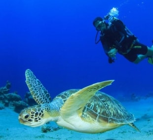 Sun Siyam Olhuveli nardymas