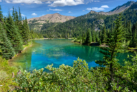 Pasiūlymo galerija 0