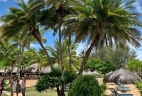 img 3465 16709
