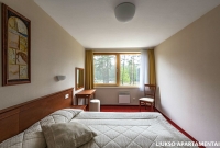ORO Dubingiai liuksas langas 2132