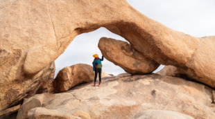 Joshua tree nacionalinis parkas