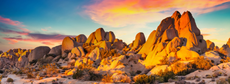 Joshua Tree uolos