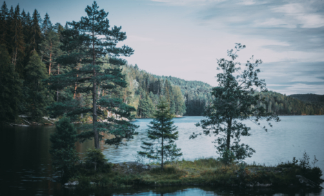 ostmarka