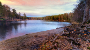 ostmarka2