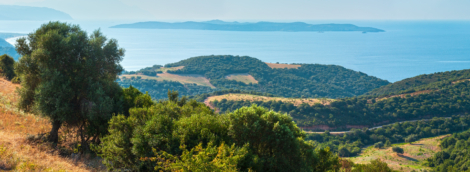 Athos Peninsula shore (Halkidiki, Greece