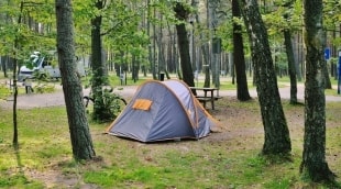 pajurio kempingas aplinka 11648