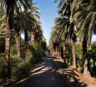 giardino 5914
