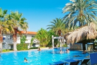 palm