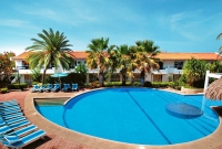 palm4