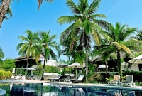 palm galleria1