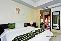palm galleria2
