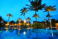 palm galleria6