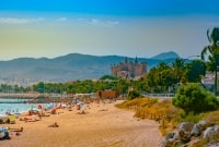 Palma de Maljorka papludimiai