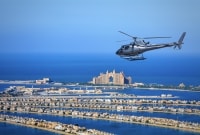 dubajus palme