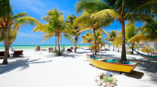 Isla Holbox papludimys
