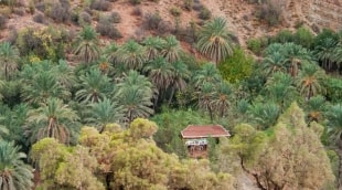 5a paradise valley j versulienes foto 13425