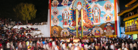 paro festivalis3