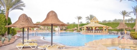 Parrotel Aqua Park Resort baseinas