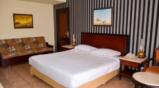 Parrotel Aqua Park Resort standard. 02 min