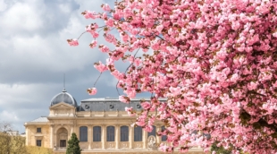 Jardin des Plantes