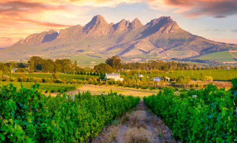 Cape Winelands