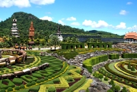 nong nooch